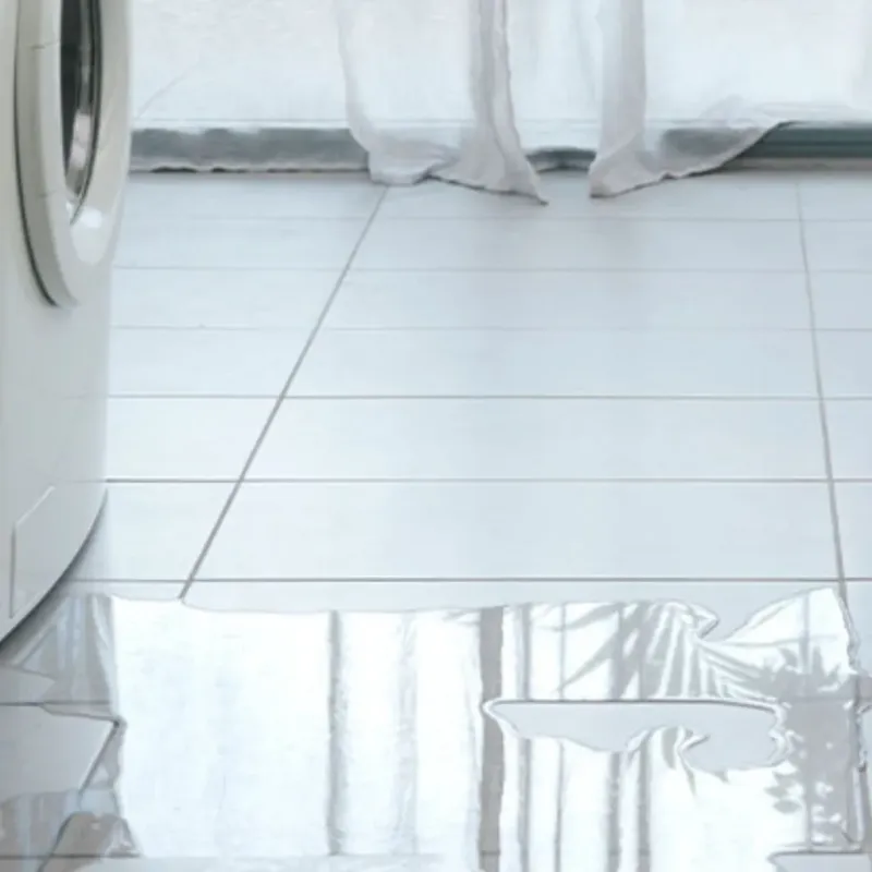 Appliance Leak Cleanup in Millington, MI