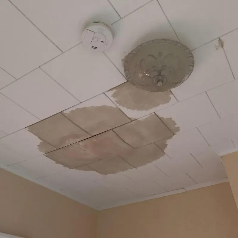 Ceiling Water Damage Repair in Millington, MI