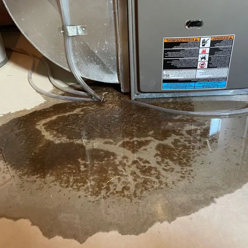 Pipe Burst and Leak Restoration in Millington, MI