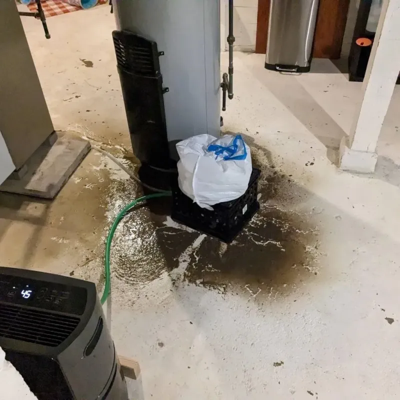 Sewage Backup Cleanup Service in Millington, MI